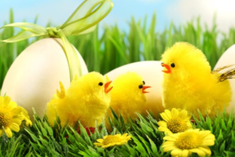 April 20th | Easter menu